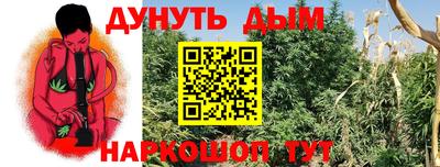 мдпв Дубна