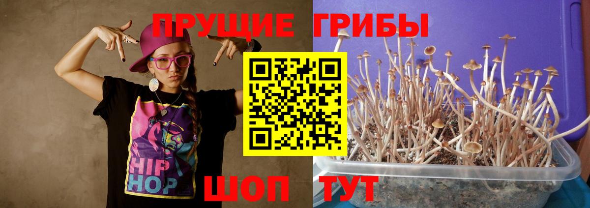 Псилоцибиновые грибы Psilocybe Реж